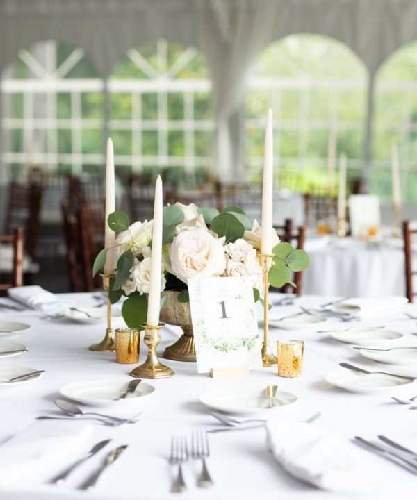 Cópia de IMG_7428_Easy-Resize.com